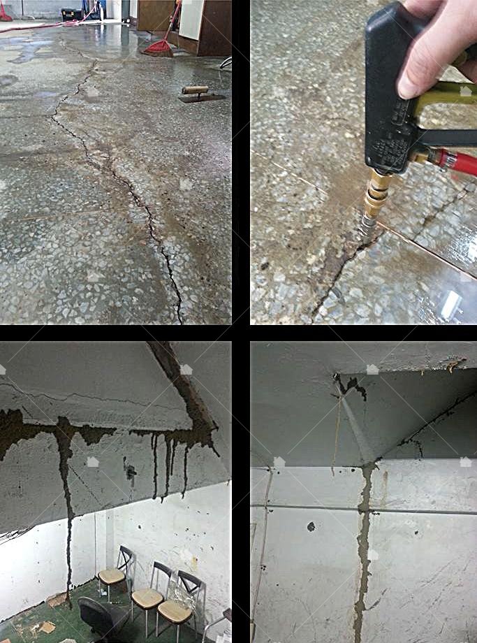 白蟻防治專業技師可以正確的判斷建築物損毀是否為蟲害:地板裂縫並非老舊的關係,而是白蟻。若不謹慎處理當作只是一般裂縫,那麼裝潢很快就會被吃光光!!! 白蟻防治專業技師可以正確的判斷建築物損毀是否為蟲害:地板裂縫並非老舊的關係,而是白蟻。若不謹慎處理當作只是一般裂縫,那麼裝潢很快就會被吃光光!!!