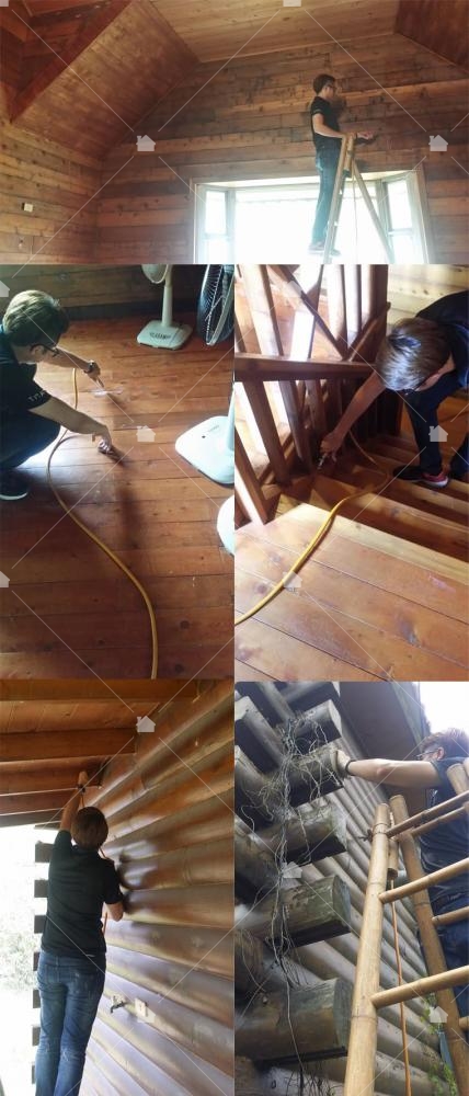 小木屋預防白蟻施工 小木屋預防白蟻施工
