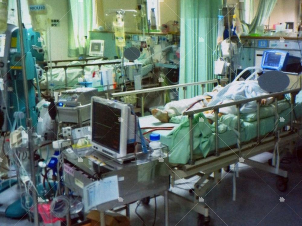 本圖片引用自https://health.udn.com/health/amp/story/6002/1942974 本圖片引用自https://health.udn.com/health/amp/story/6002/1942974