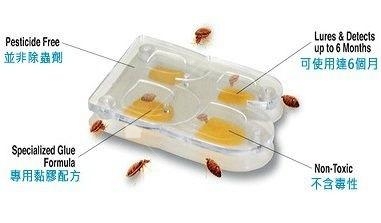 也有人使用誘補裝置來檢查是否有床蝨。本圖引用自https://www.facebook.com/mr.debug 也有人使用誘補裝置來檢查是否有床蝨。本圖引用自https://www.facebook.com/mr.debug