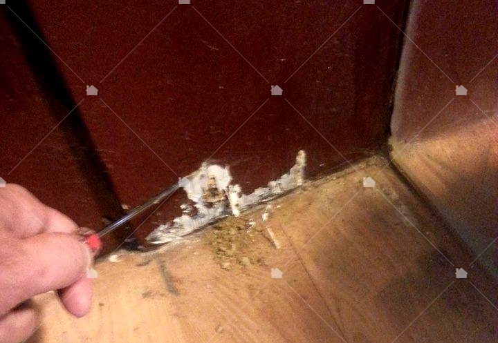 一旦發現取食蟻道最好在15天之內處理白蟻問題,由藝太消毒提供圖片。 一旦發現取食蟻道最好在15天之內處理白蟻問題,由藝太消毒提供圖片。