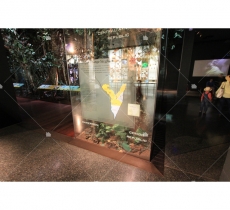 20180131-03