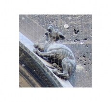 20180523-01