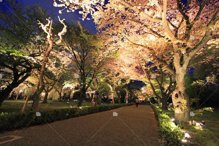 京都御所