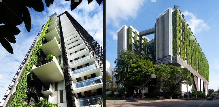 新加坡Newton Suites牛頓公寓、School of the Arts藝術學院,都可以看到垂直通天的綠色植栽牆。圖片引用自WOHA建築事務所官網。 新加坡Newton Suites牛頓公寓、School of the Arts藝術學院,都可以看到垂直通天的綠色植栽牆。圖片引用自WOHA建築事務所官網。